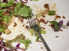 -Tubestation站点比萨(五道营店)