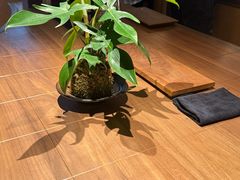 -不正咖啡(万达尊店)