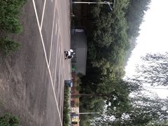 -延安杨家岭革命旧址