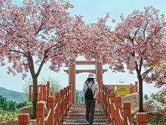 -羊亭河湿地公园