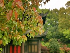 -韩湘水博园