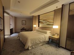 -上海嘉定喜来登酒店