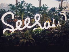 -Seesaw Coffee(朝阳大悦城店)