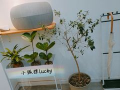 -Onirii Coffee(长乐路店)