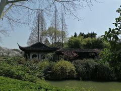 -红梅公园