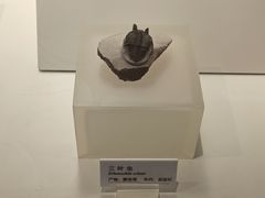 -重庆自然博物馆(新馆)