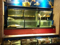 水产区-许家菜(望江店)