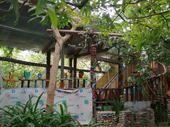 -北京呀路古热带植物园