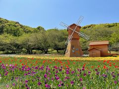 -苏州上方山国家森林公园