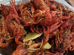 -大孩龙虾(体育场旗舰店)