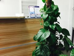 -StorHub 趣存自助仓·迷你仓(虹桥店)