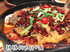 -老板恋上鱼(高新万达店)