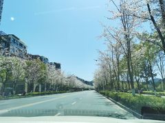 -几荷·恰似故人来(秀水广场店)