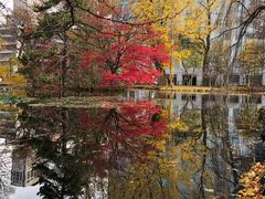 -北海道厅旧本厅舍(旧本庁舎)