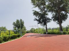 -敕勒川草原