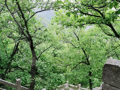 -天津盘山风景名胜区