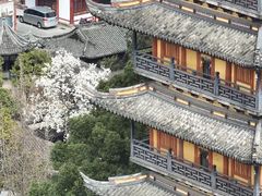 -常熟方塔园