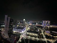 -新加坡瑞士史丹福酒店