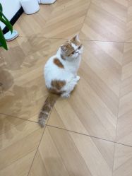 点击看大图 -沫儿·美甲美睫·半永久·皮肤管理