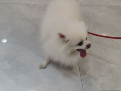 -荔康动物医院(康王北路店)