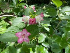 -上海吴淞炮台湾国家湿地公园