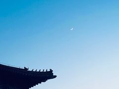 -龙口南山旅游景区