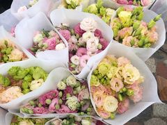 -秦美花卉(天朗·莱茵小城2期店)