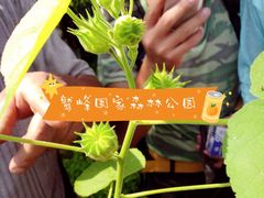 -北京鹫峰国家森林公园