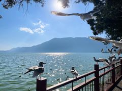 -滇池海埂公园