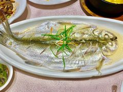 -天福苑(崇宁路店)