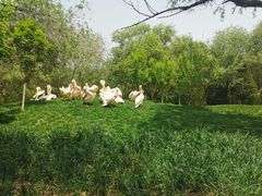 -北京野生动物园