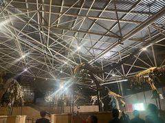 -世界恐龙谷景区