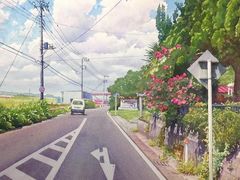 -青沐画室·专业美术培训