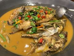 -饭怕鱼(阳光100店)