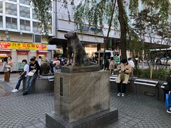 -涩谷区