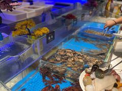 -加餐海鲜自助(宝龙一城店)