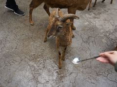 -听香·678茶铺(猛追湾店)