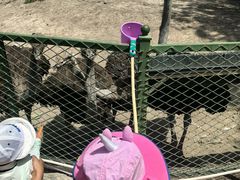 -新疆天山野生动物园