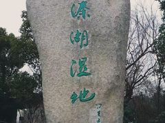 -溱湖国家湿地公园