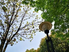 -幕燕滨江·长江观音景区