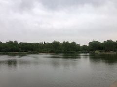 -燕郊植物园