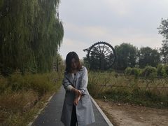 -溱湖国家湿地公园