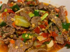 -壹盏灯(惠农店)