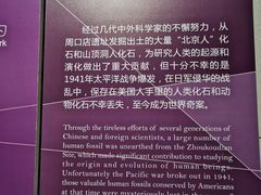 -北京周口店北京人遗址博物馆