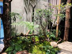 -森SPA·泰式按摩·精油Massage(宝安中心店)