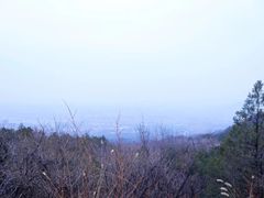 -阳台山自然风景区