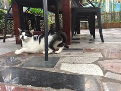 -虚荣精酿酒屋(五羊店)