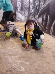 -恐龙探索乐园(磁器口店)