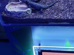 -梦幻海洋王国(吾悦广场张家港店)