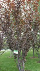 点击看大图 -大望京儿童游乐场